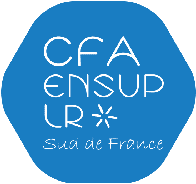 logo cfa ensup lr