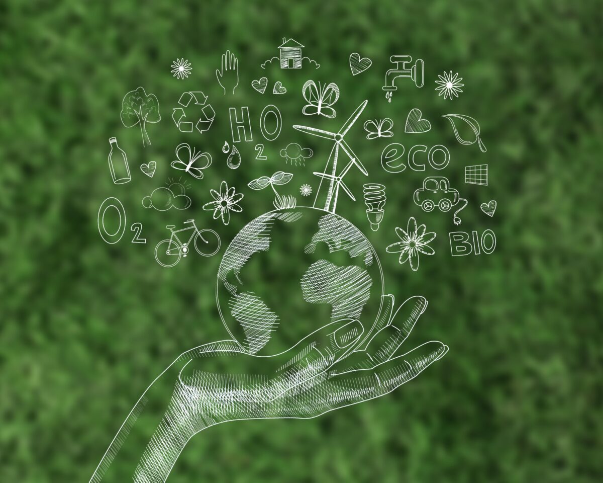 ecran numerique avec journee de l environnement
